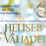 4dets_adventTallToom